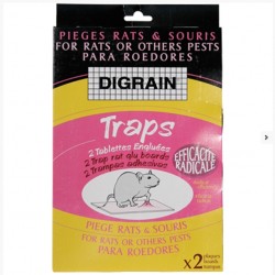 TRAPS Rats/Souris